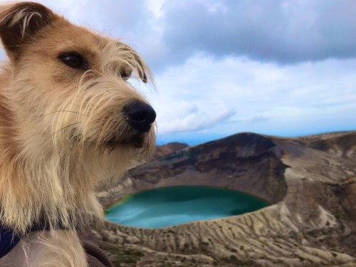 蔵王の犬連れで遊べる観光スポット 蔵王の代名詞 お釜 旅犬フーレップ