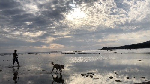 男鹿半島の犬と遊べる観光スポット 秋田のウユニ塩湖 鵜ノ崎海岸 旅犬フーレップ