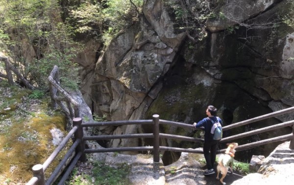 ペット可 秋保温泉の犬と楽しめる観光地 飲食店 ホテル厳選まとめ 旅犬フーレップ