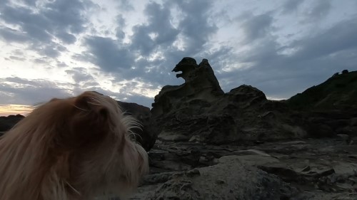 男鹿市の犬連れで遊べる観光スポット 絶景の夕陽 ゴジラ岩 旅犬フーレップ