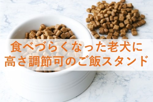 ご飯 お水が食べにくい 飲みにくい老犬に 高さ調整可のご飯皿 お水皿台 Choki Press